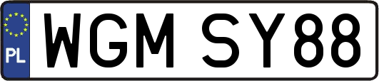 WGMSY88
