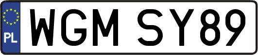 WGMSY89
