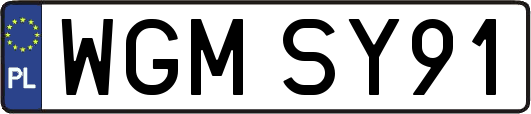 WGMSY91