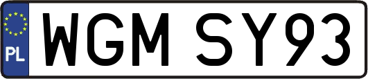 WGMSY93