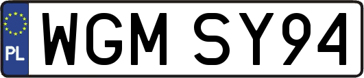WGMSY94