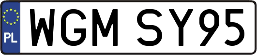 WGMSY95