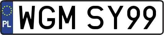 WGMSY99