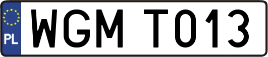 WGMT013