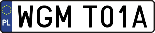 WGMT01A