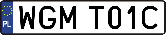 WGMT01C