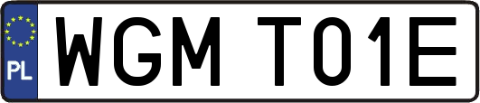 WGMT01E