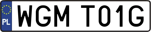 WGMT01G