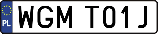 WGMT01J