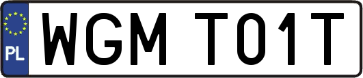 WGMT01T
