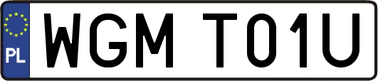 WGMT01U