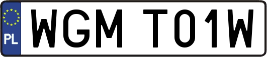 WGMT01W