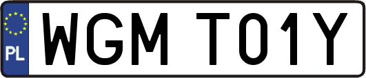 WGMT01Y