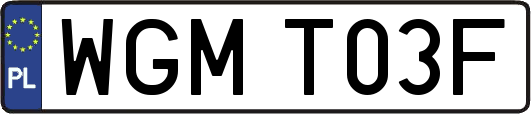 WGMT03F