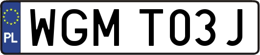 WGMT03J
