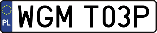 WGMT03P