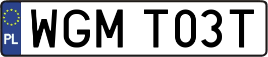 WGMT03T