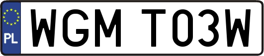 WGMT03W