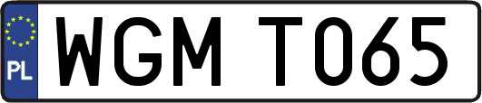 WGMT065