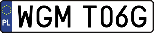WGMT06G