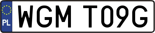 WGMT09G