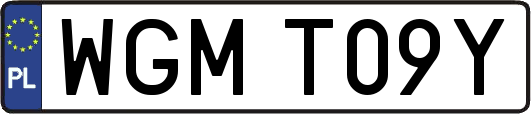 WGMT09Y