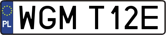 WGMT12E