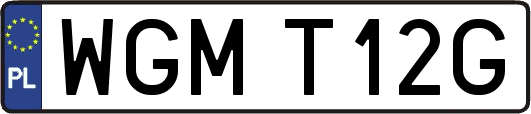 WGMT12G