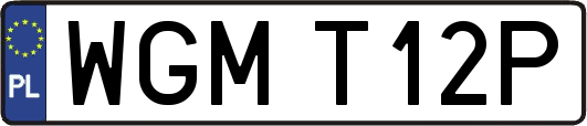 WGMT12P