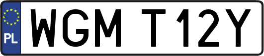 WGMT12Y