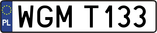 WGMT133