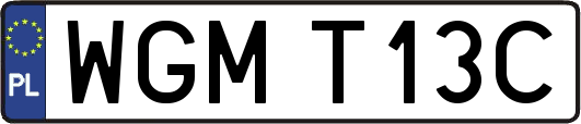 WGMT13C