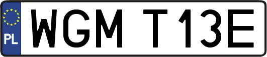 WGMT13E