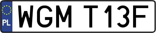 WGMT13F
