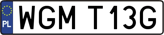 WGMT13G