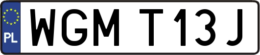 WGMT13J