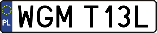 WGMT13L