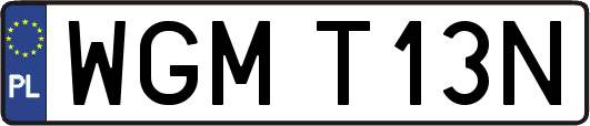 WGMT13N