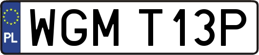 WGMT13P
