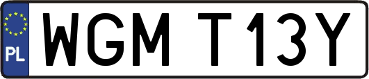 WGMT13Y