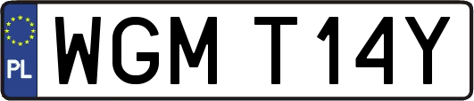 WGMT14Y
