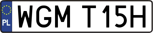 WGMT15H