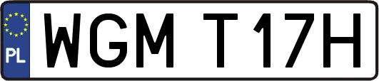 WGMT17H