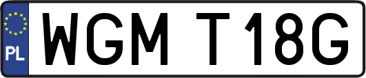 WGMT18G