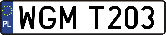 WGMT203