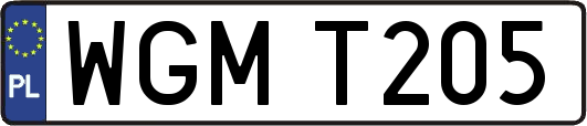 WGMT205