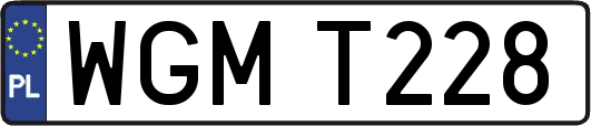 WGMT228