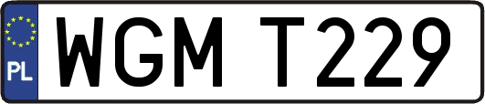 WGMT229