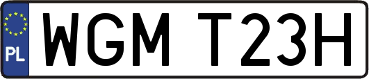 WGMT23H
