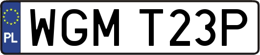 WGMT23P